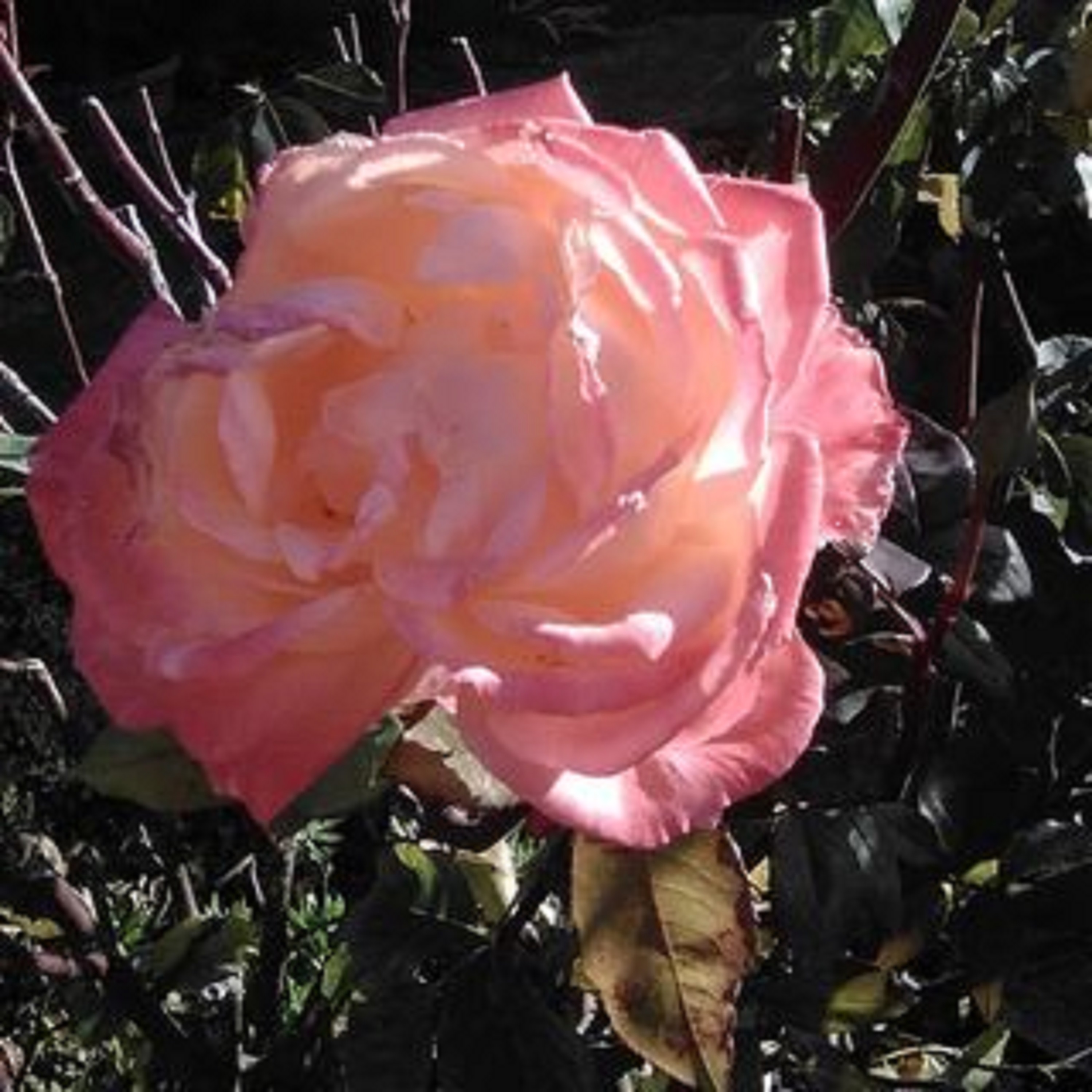 Photo taken by me