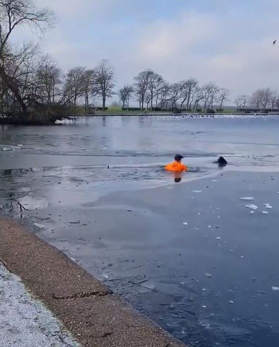 Darcy Bell to the rescue of a dog in a like in England Darcy Bell to the rescue of a dog in a like in England