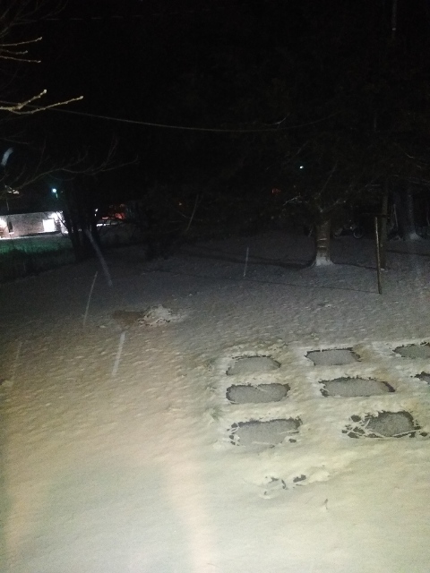 Out my back door. 01/15/21 Photo is mine.