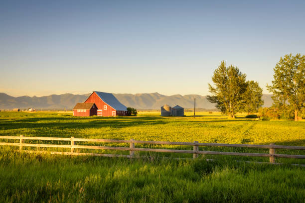 I’d love to start a farm! I’d love to start a farm!