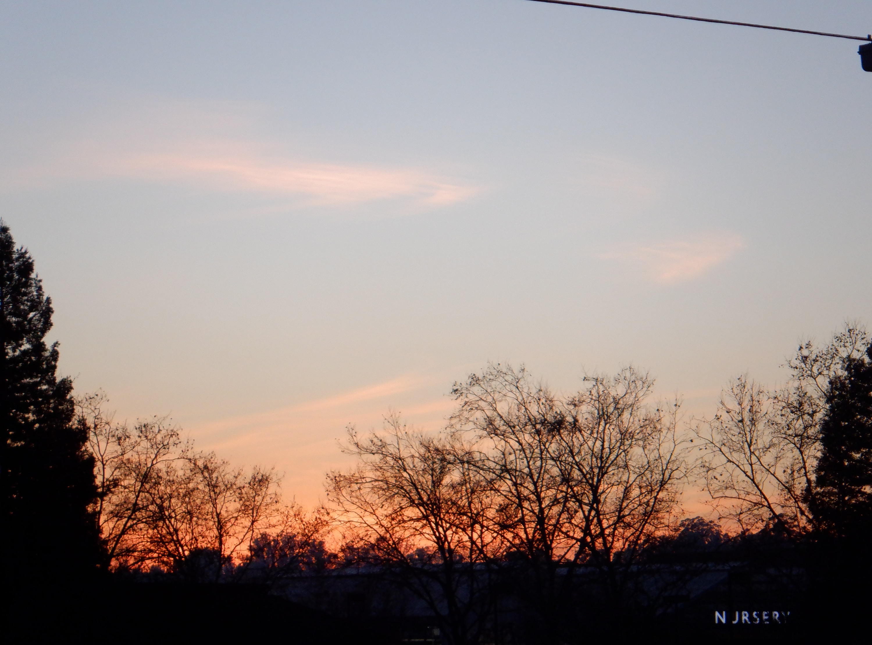 Photo taken by me 1-13-21 Photo taken by me 1-13-21