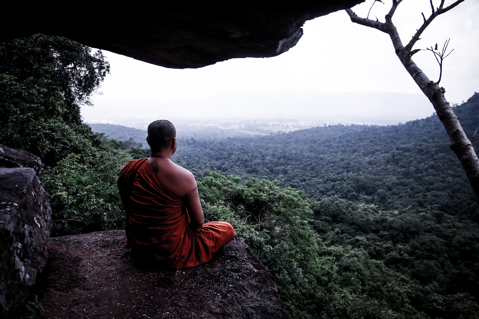 The cave does not make the master. The master is already in the cave. The cave does not make the master. The master is already in the cave.