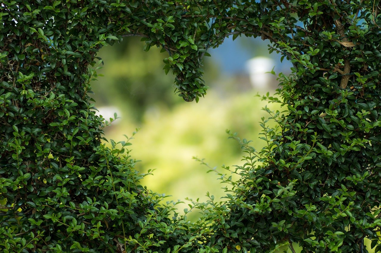Searching for love with our mind, only finds for us a hollow form of love, not a full love Searching for love with our mind, only finds for us a hollow form of love, not a full love