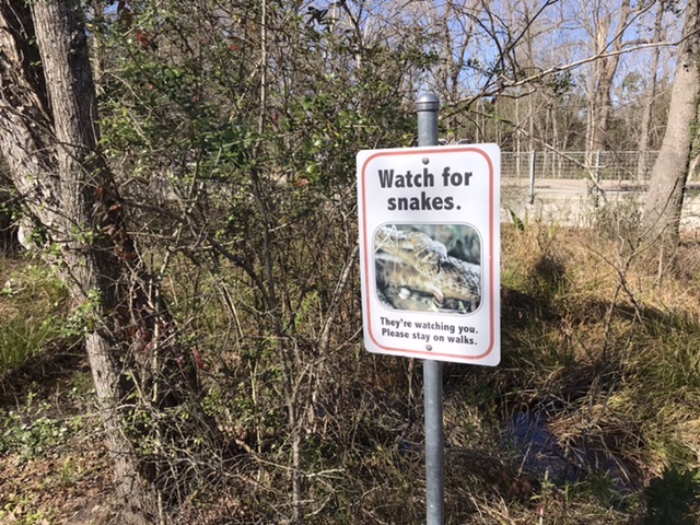 Snake warning at the rest area. Photo taken by and the property of FourWalls. Snake warning at the rest area. Photo taken by and the property of FourWalls.