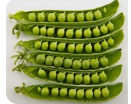 pea