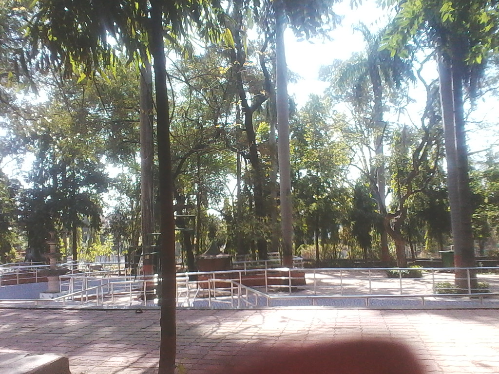 garden garden