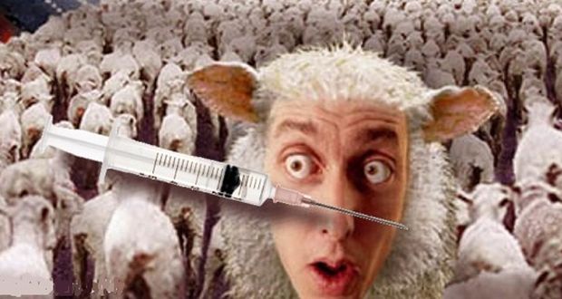 https://www.vaccinationinformationnetwork.com/dr-blaylock-vaccine-program-based-upon-nonsense-fear-fairy-tales/