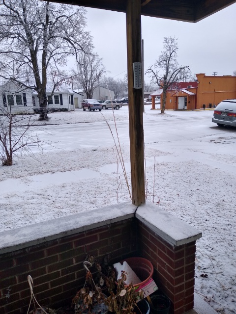 Snow. 02/11/21 Photo is mine.