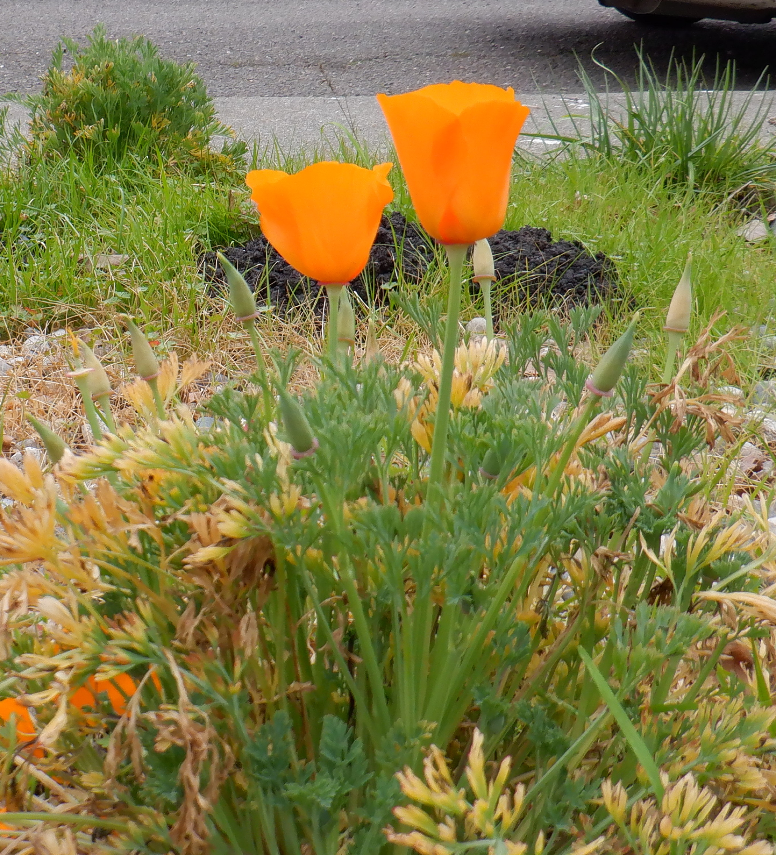 Photo taken by me 2-12-21 Photo taken by me 2-12-21