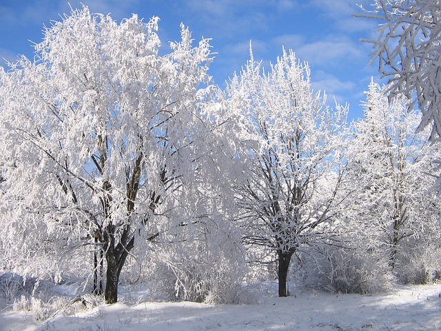 winter winter
