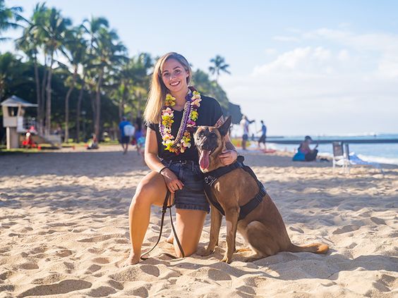 U S Marine sergeant Angela Cardone reunites with her pet Bogi