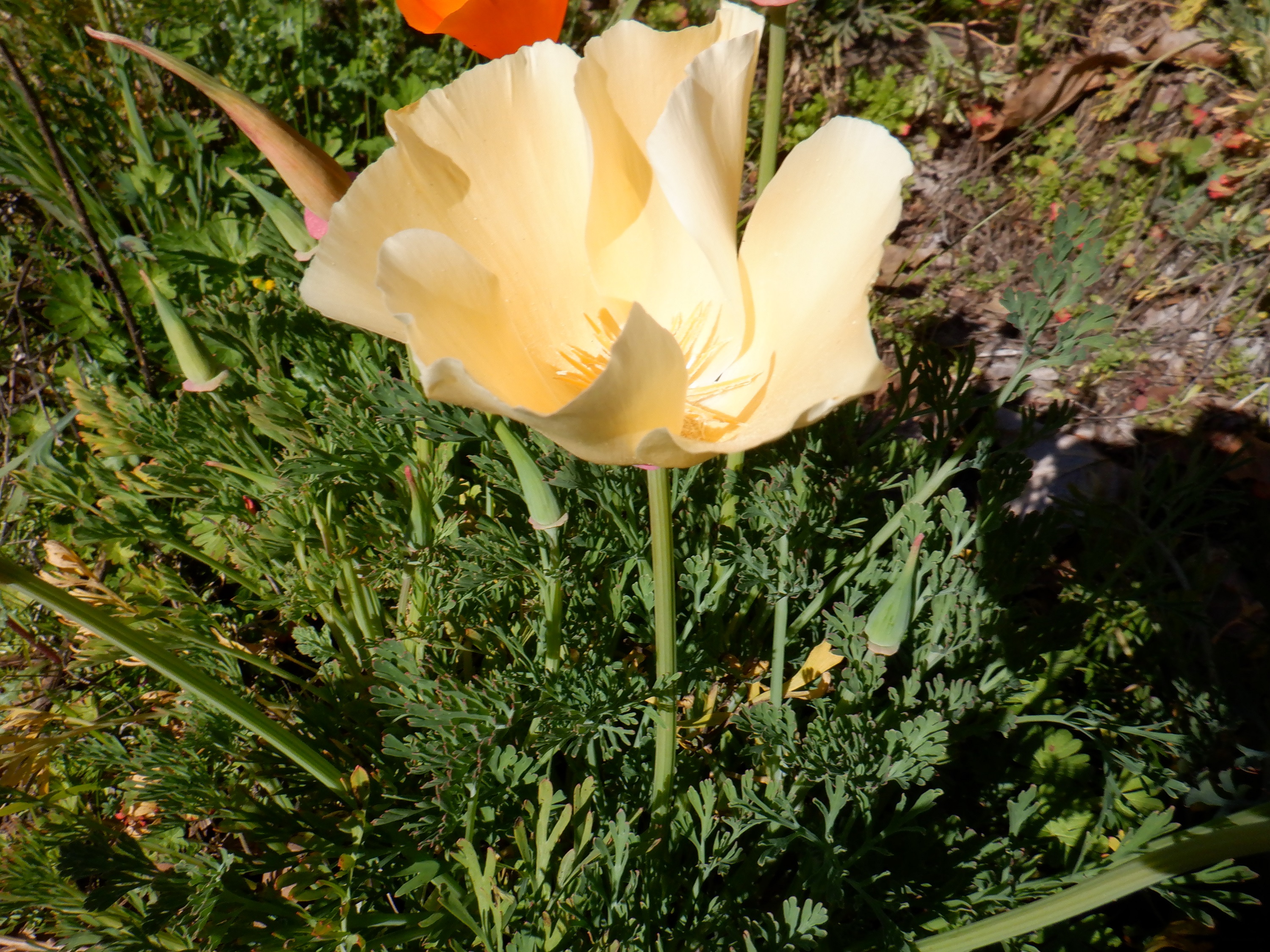 Photo taken by me 2-24-21
