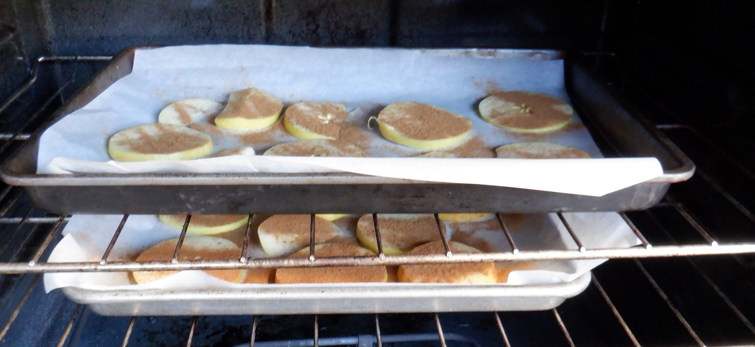 Photo I took of the apple chips in the oven 
