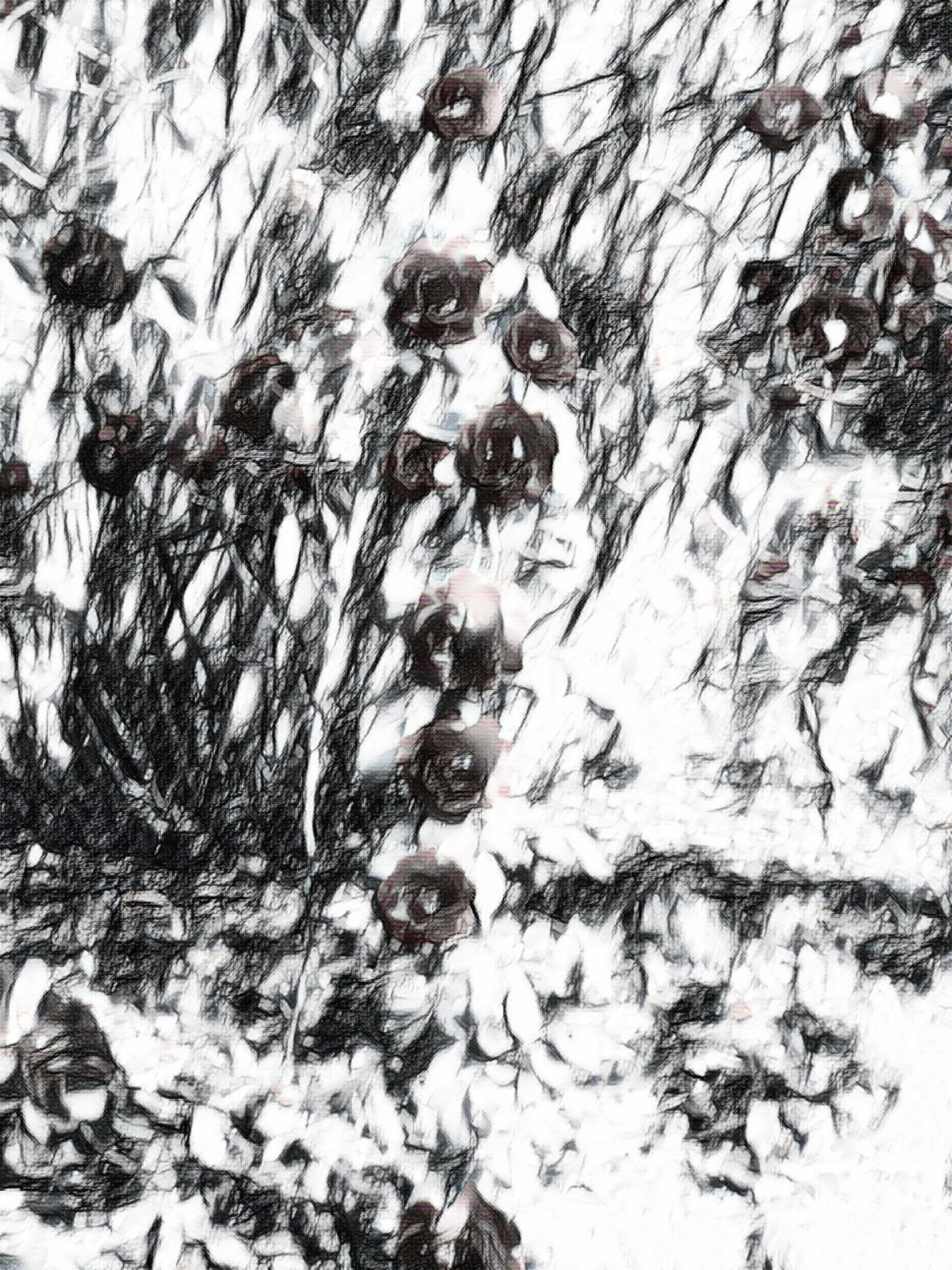 Photo I took of flowers with Sketch 2 effect on LunaPic.com