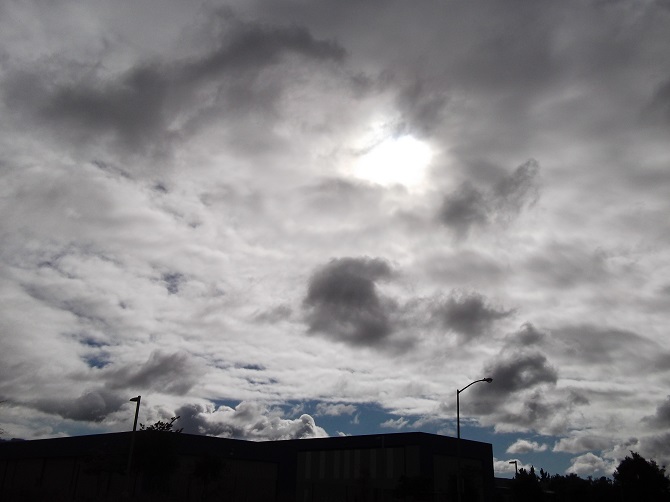 Photo taken by me 7-23-14 Photo taken by me 7-23-14