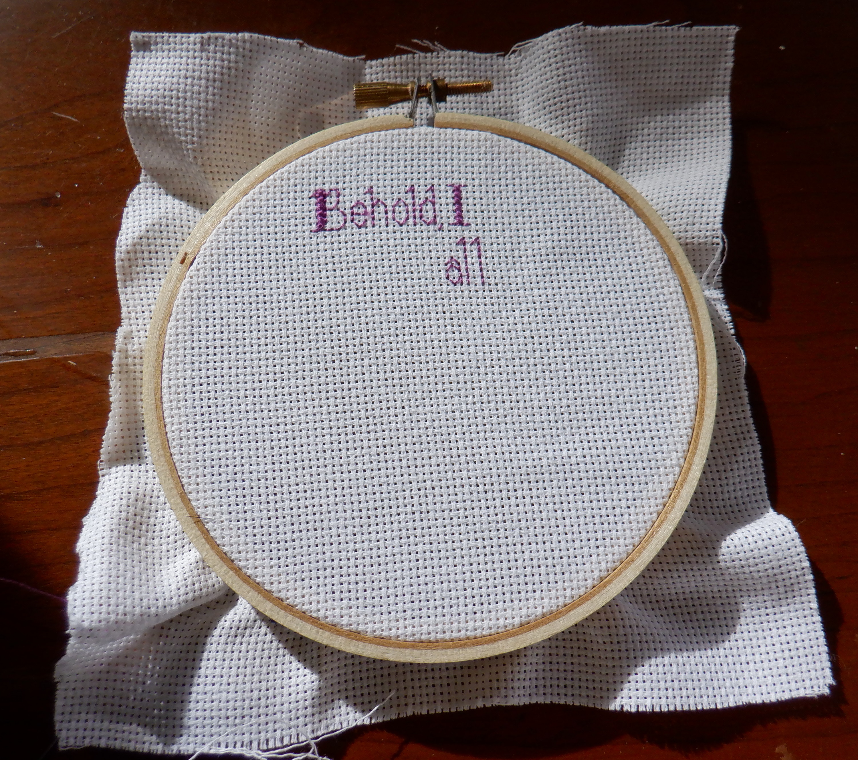 Photo I took of my current counted cross stitch project. Photo I took of my current counted cross stitch project.