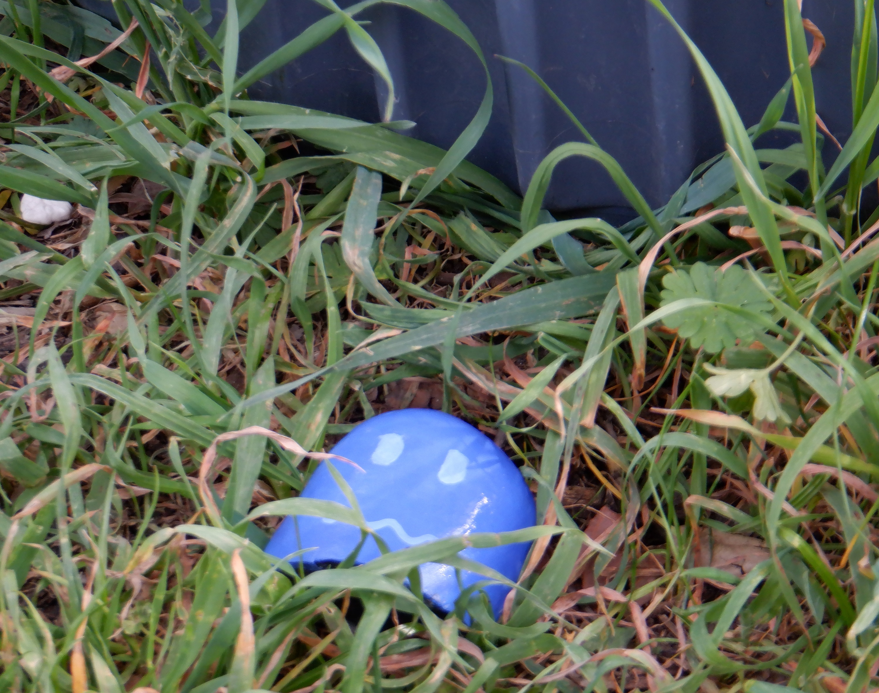 Photo of the Pac-Man Rock I hid/placed today. Photo of the Pac-Man Rock I hid/placed today.