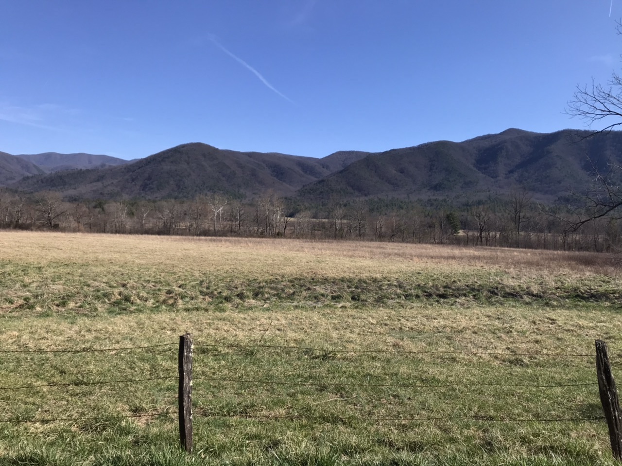 A field in Cades Cove, with the mountains behind on a clear spring day. Photo taken by and the property of FourWalls. A field in Cades Cove, with the mountains behind on a clear spring day. Photo taken by and the property of FourWalls.