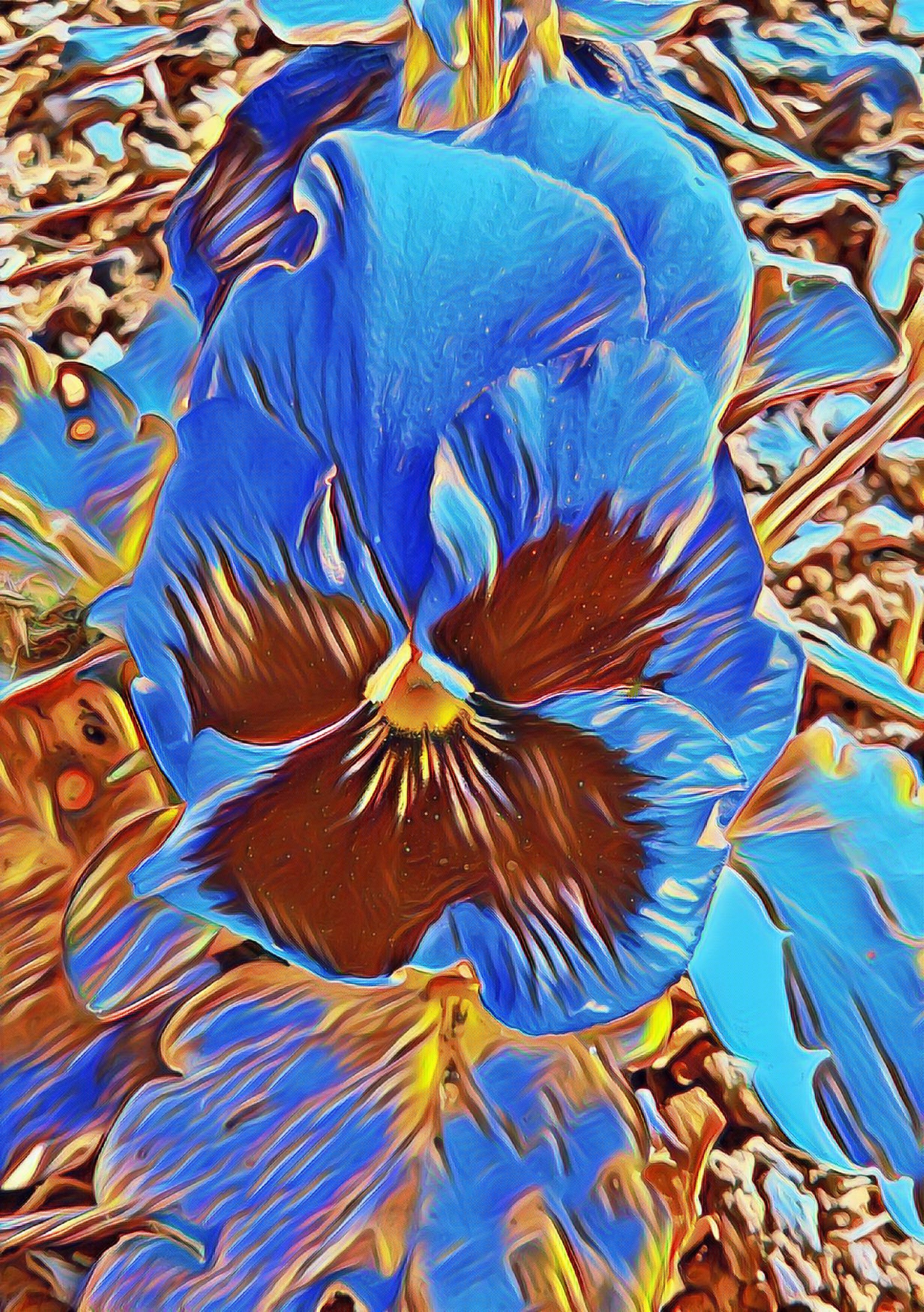 Photo taken by me with Splash effect on LunaPic.com