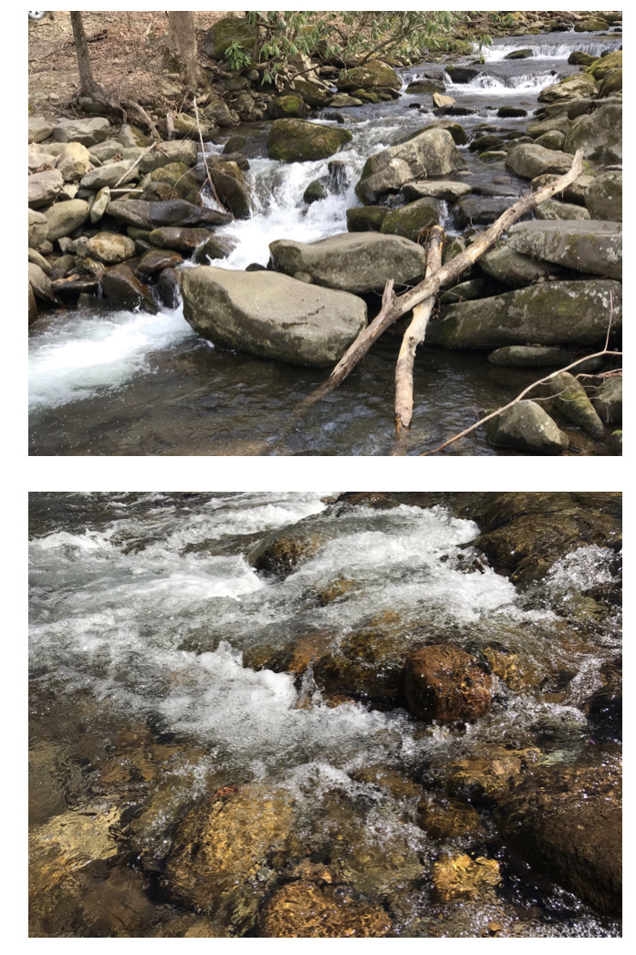The views of the water from two Gatlinburg city parks. Photos taken by and the property of FourWalls. The views of the water from two Gatlinburg city parks. Photos taken by and the property of FourWalls.