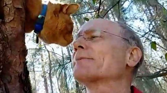 Cat rescue owner in Atlanta Normer Adams Cat rescue owner in Atlanta Normer Adams