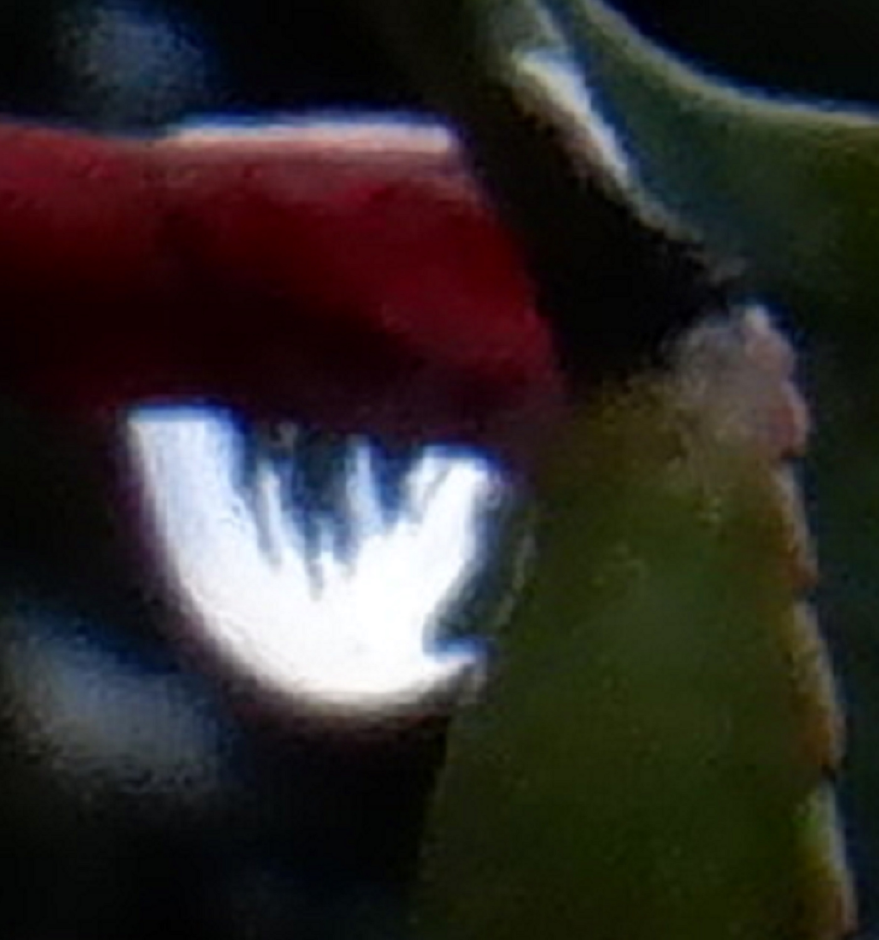 Photo taken by me and cropped to show one raindrop