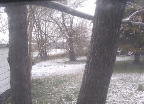 Out my kitchen window. Photo is mine.