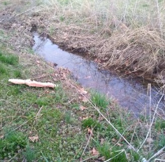 ditch at the end of my yard. Photo is mine.