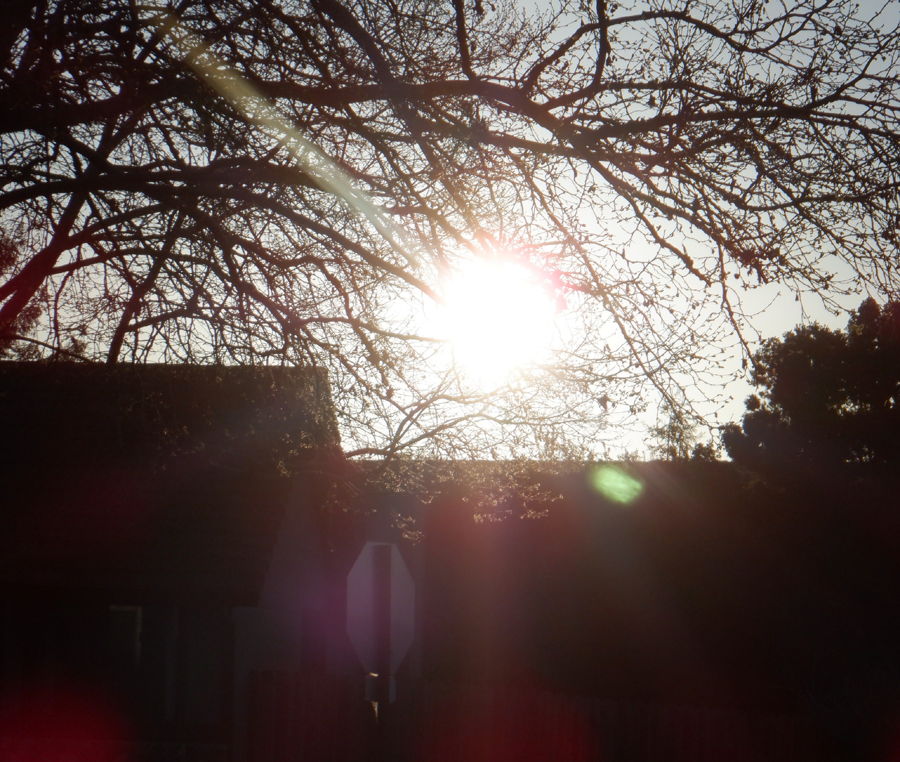 Photo I took this morning 3-26-21 Photo I took this morning 3-26-21