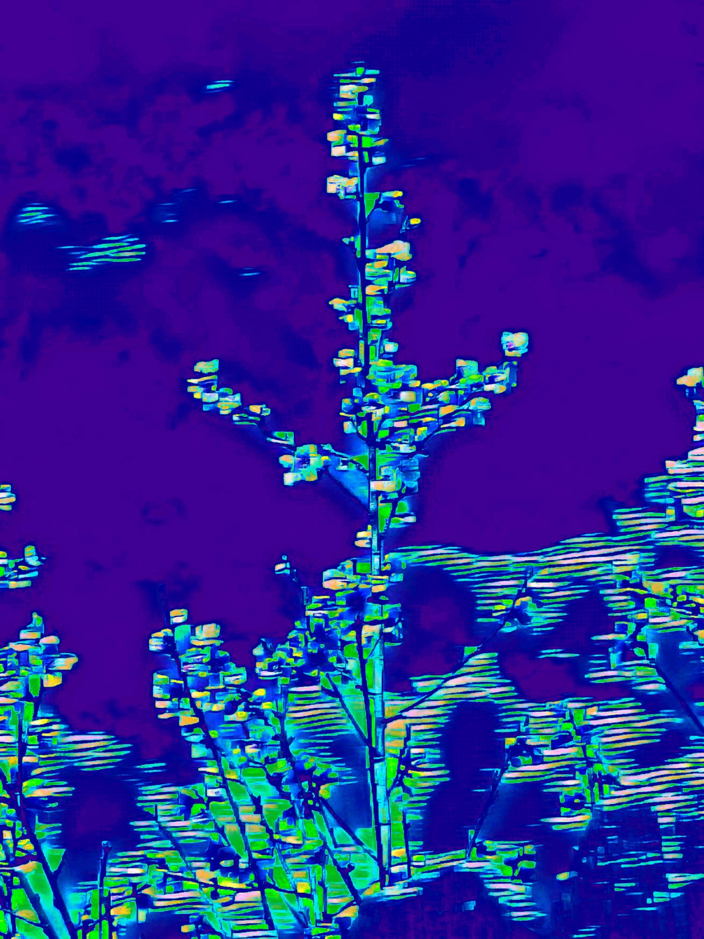 Photo taken by me with night, median and thermal effects on LunaPic.com Photo taken by me with night, median and thermal effects on LunaPic.com