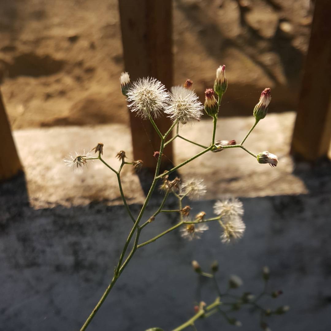 image is mine image is mine