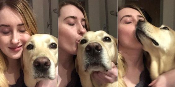 Tami the lab and her owner Kimberly Burrows Tami the lab and her owner Kimberly Burrows