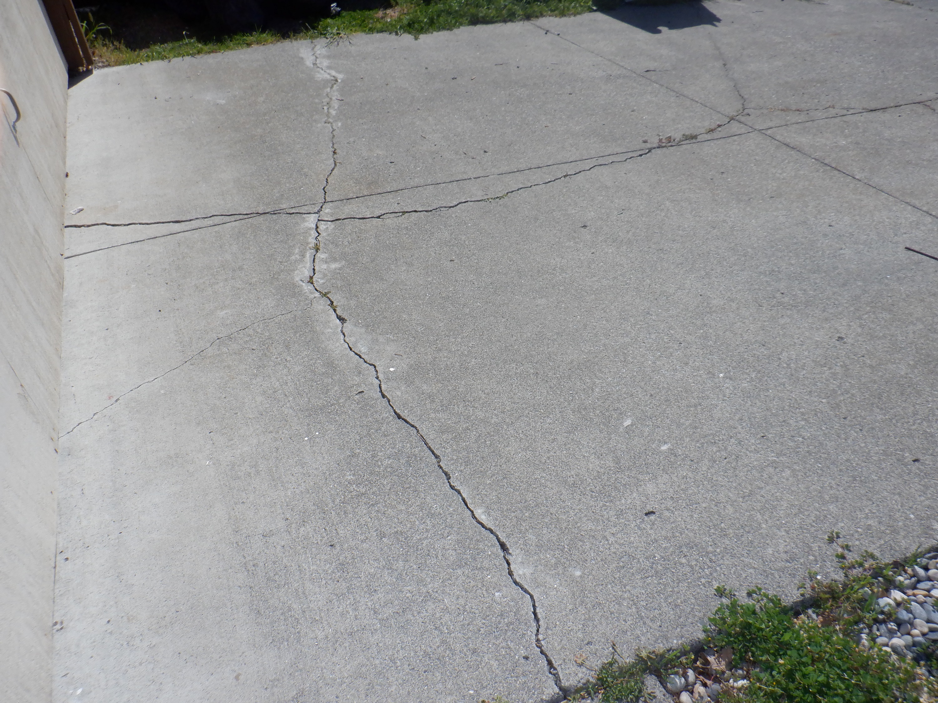 Photo I took of the driveway Photo I took of the driveway