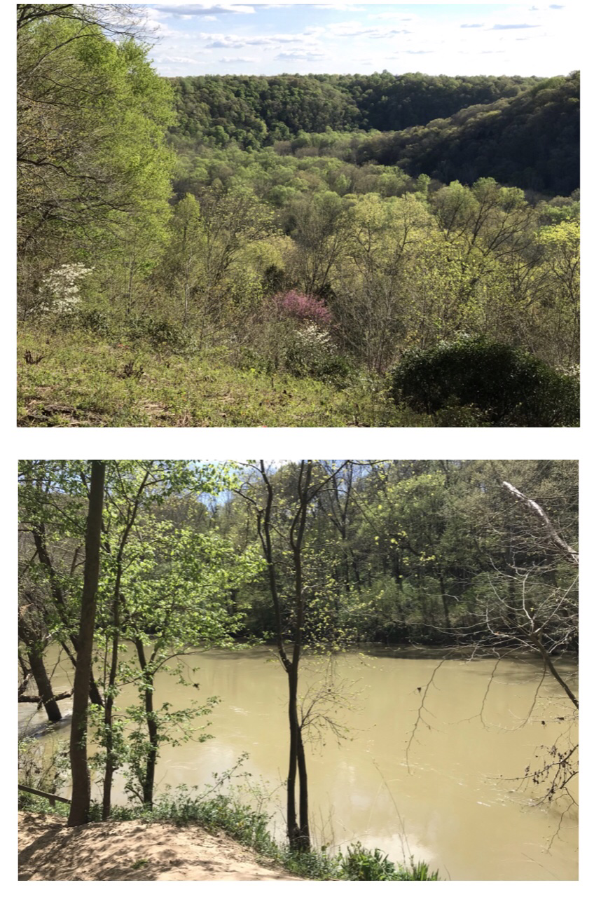 The beauty of spring from Sunset Point, and the Green River in Mammoth Cave National Park. Photos taken by and the property of FourWalls. The beauty of spring from Sunset Point, and the Green River in Mammoth Cave National Park. Photos taken by and the property of FourWalls.