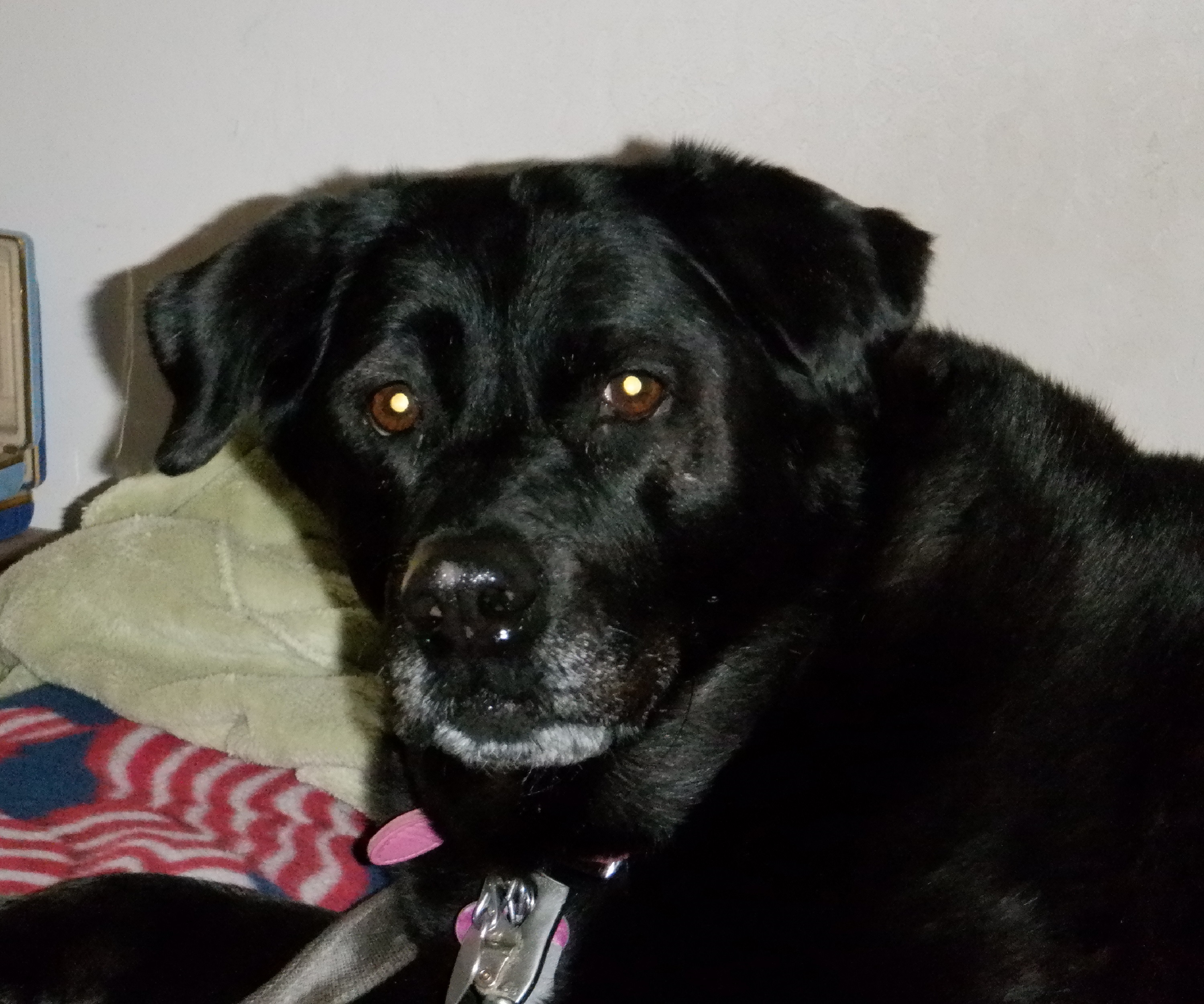 Photo I took of Angel 3-6-21 Photo I took of Angel 3-6-21