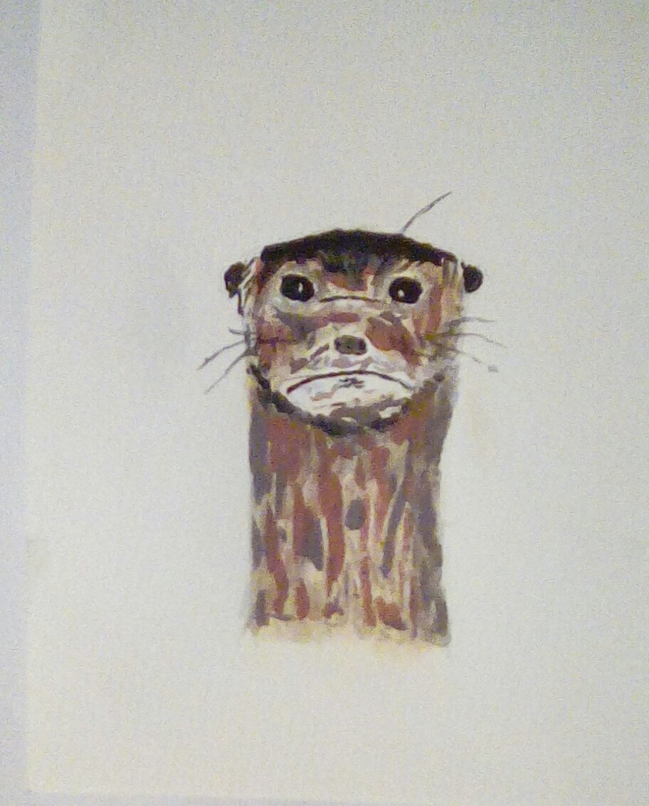 Otter painting, watercolour, 