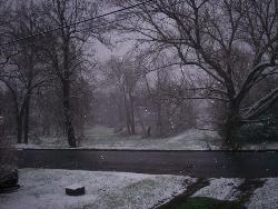 Beautiful picture of snow..here in wv - I took this standing infront of my house looking towards the street..Just so beautiful to see the snow..Thank God for the Seasons..Each one has it's splash of beauty!!!