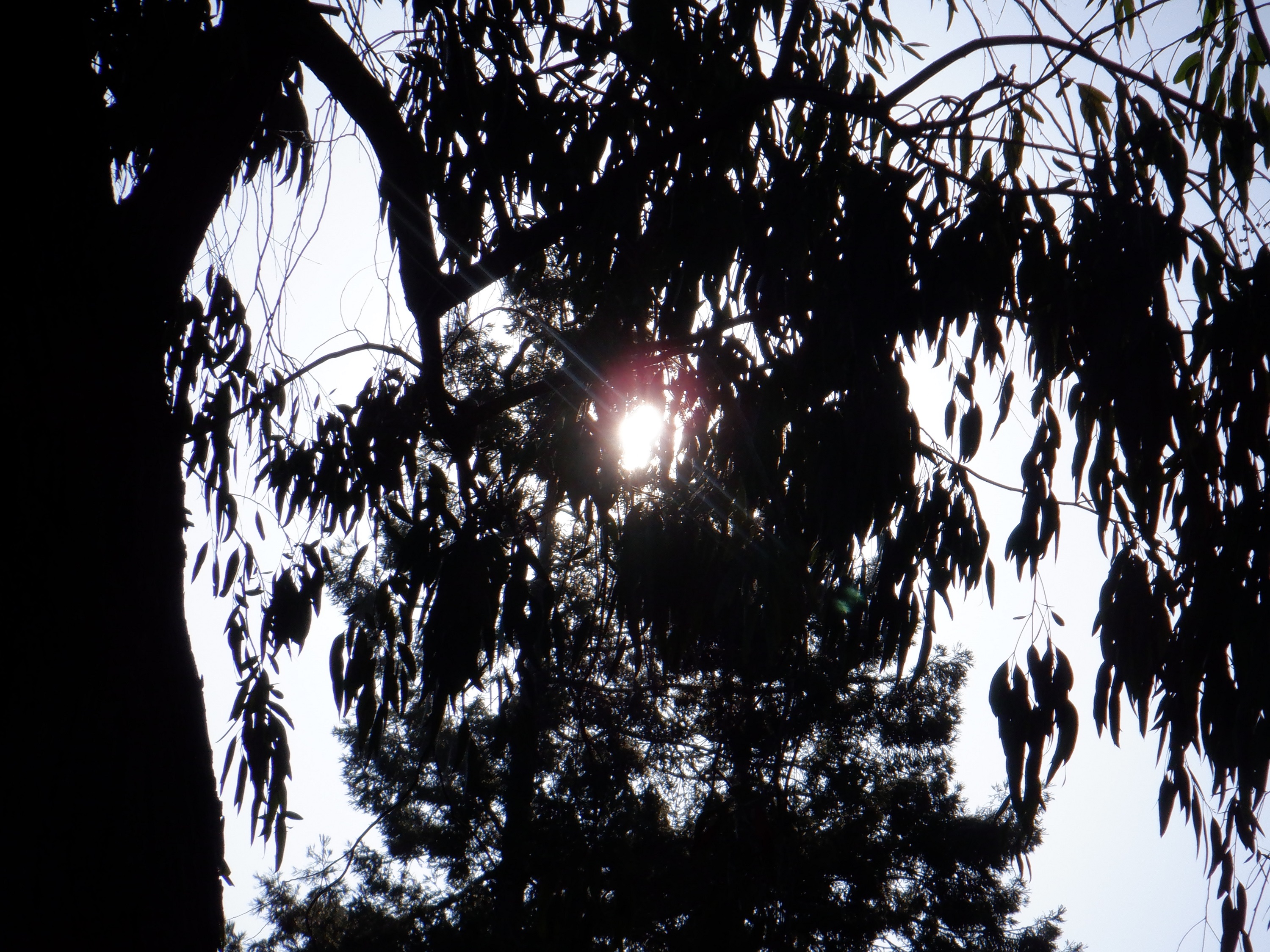 Photo taken by me 4-28-21