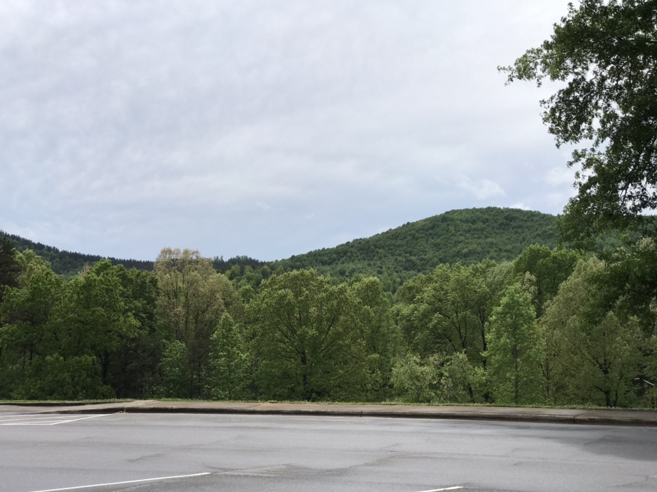 Scenery at a North Carolina rest area.  Photo taken by and the property of FourWalls.