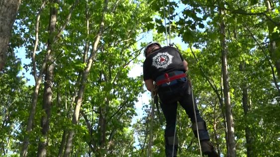Daniel Miller to the rescue of a cat stuck in a tree in Virginia Daniel Miller to the rescue of a cat stuck in a tree in Virginia