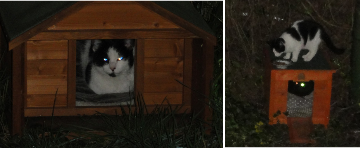 New Cat cabin New Cat cabin