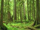 wonderfull - isnt it?