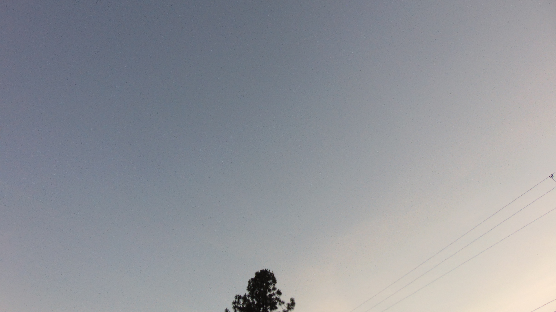 Sky