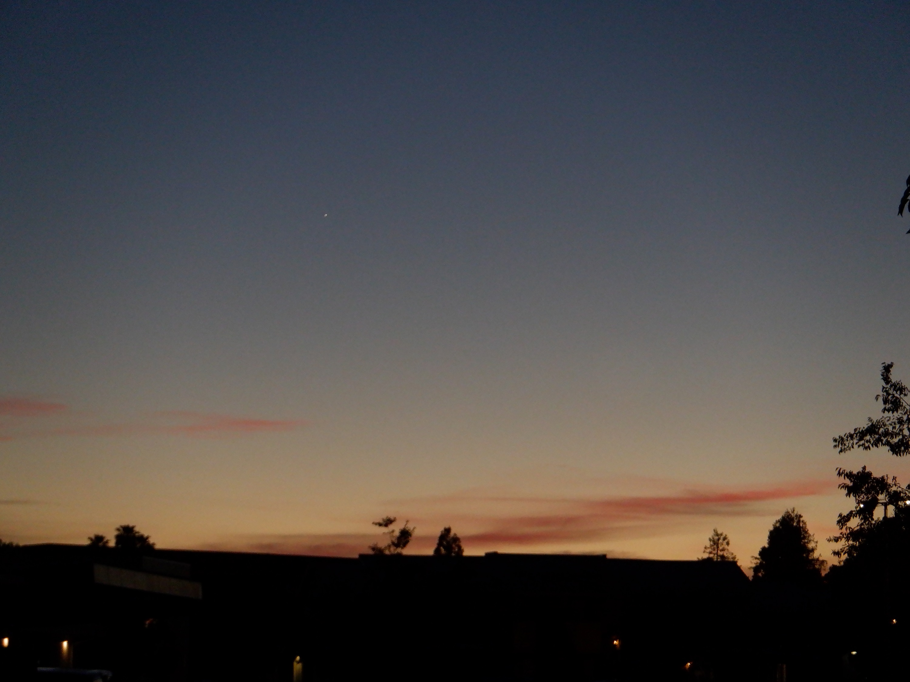 Photo taken by me 6-3-21