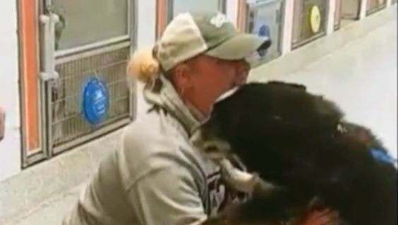 Dog owner reunites with his lost dog Ashley in Florida Dog owner reunites with his lost dog Ashley in Florida