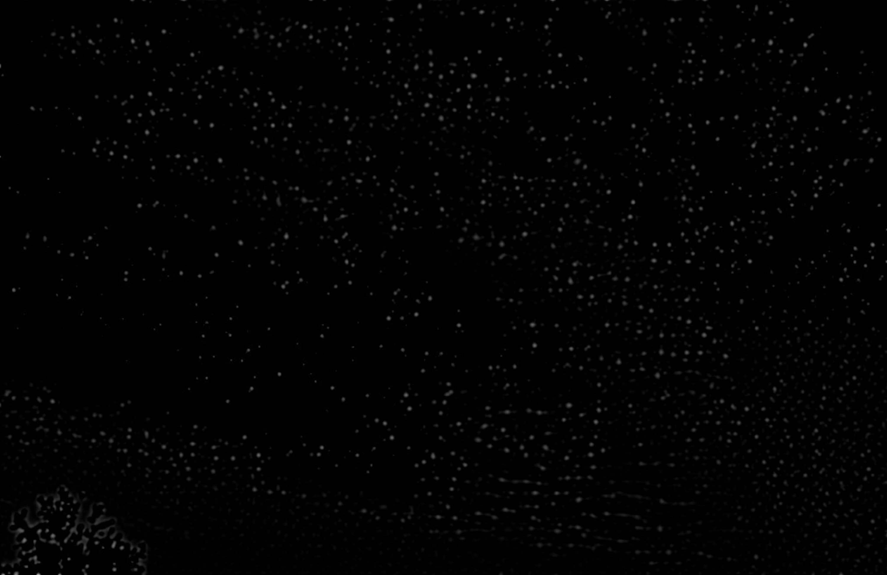 Photo taken by me with abstract outlines and negative effect x2 on Lunapic.com Photo taken by me with abstract outlines and negative effect x2 on Lunapic.com