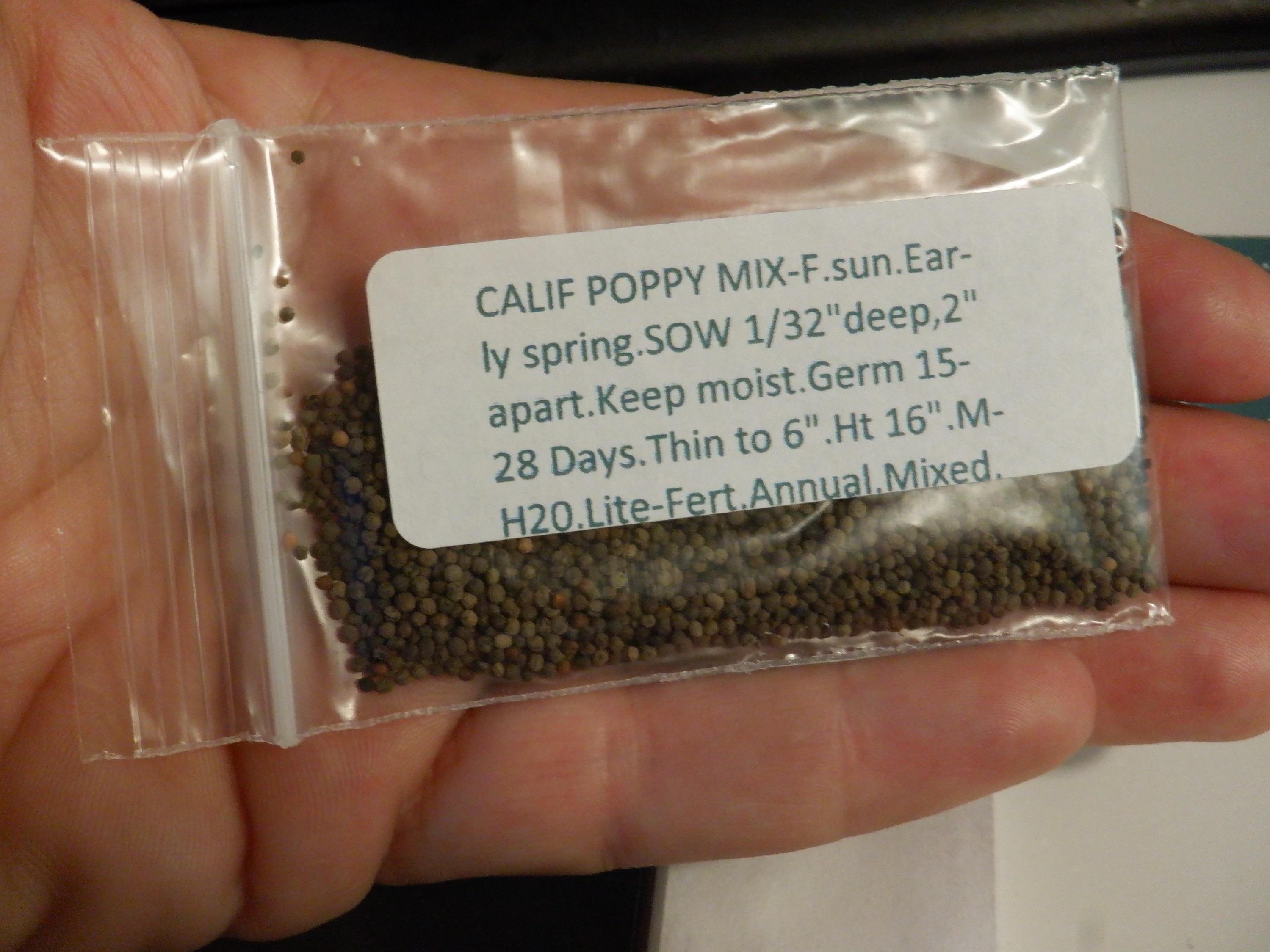 Photo I took of the poppy seeds that came in the mail today Photo I took of the poppy seeds that came in the mail today
