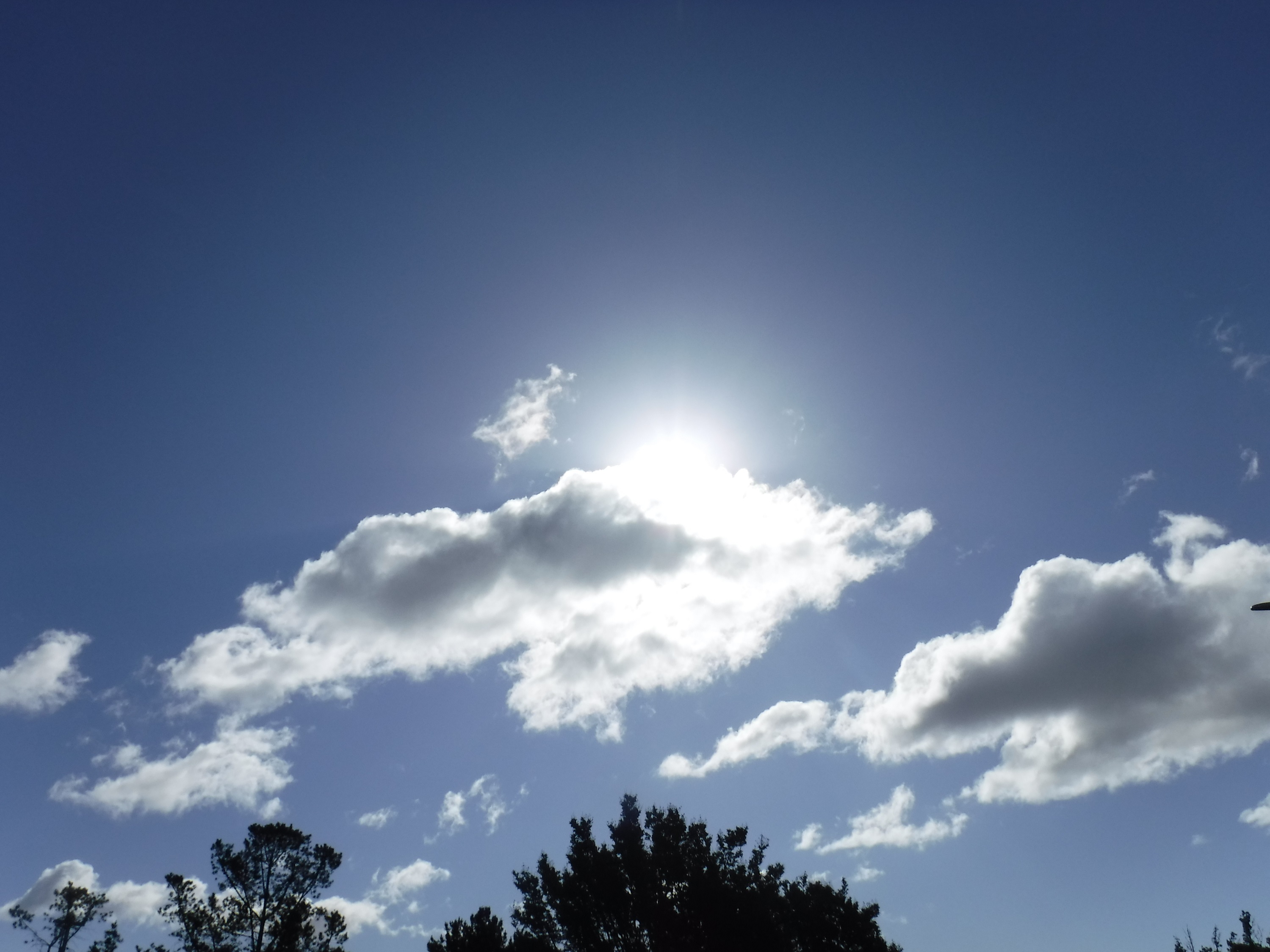 Photo taken by me 5-27-2020