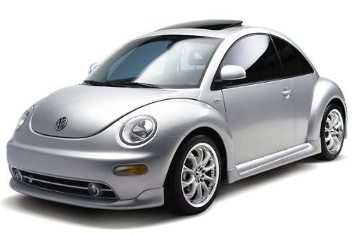 Thatz A Useful One - Beetle