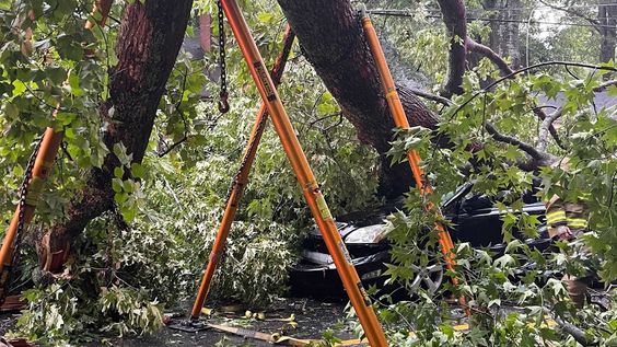 An oak tree and power line crash into an auto in Atlanta on Sunday morning An oak tree and power line crash into an auto in Atlanta on Sunday morning